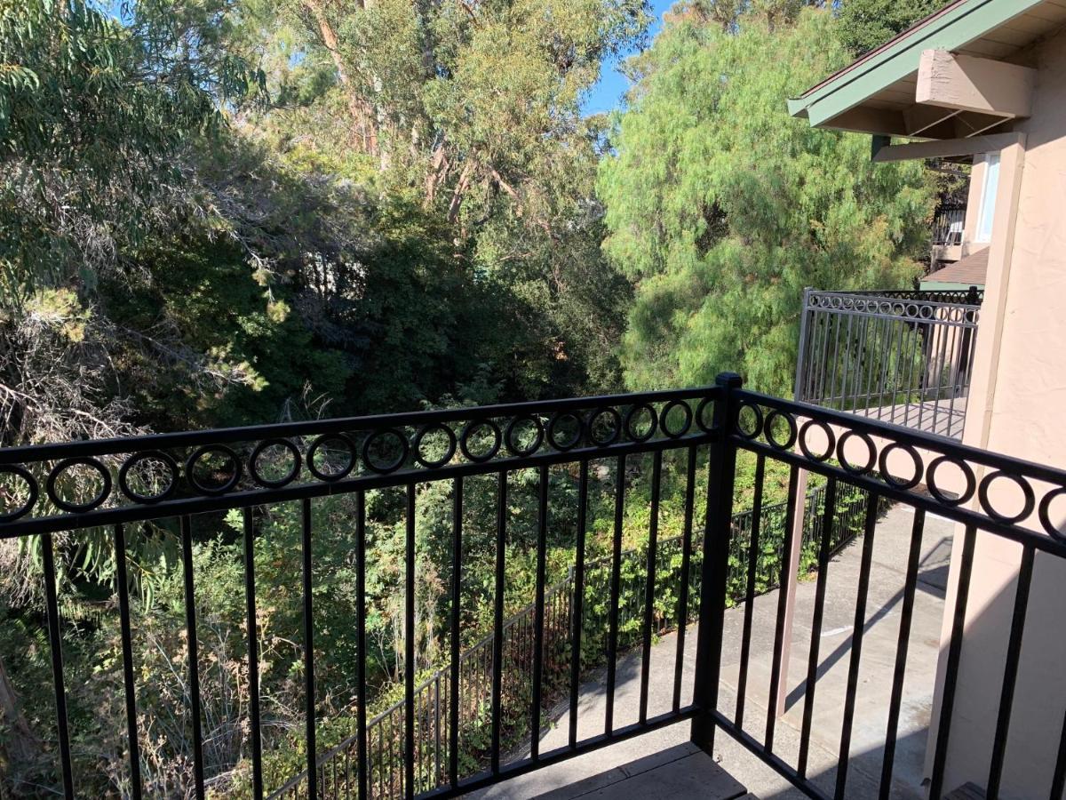 Olive Tree Inn & Suites San Luis Obispo Buitenkant foto